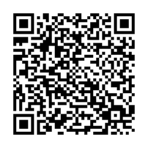 QR Code para acesso ao Whatsapp 0800 da AldeiaWeb