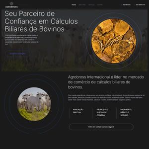 Agrobross Internacional